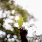 Come essere più green?